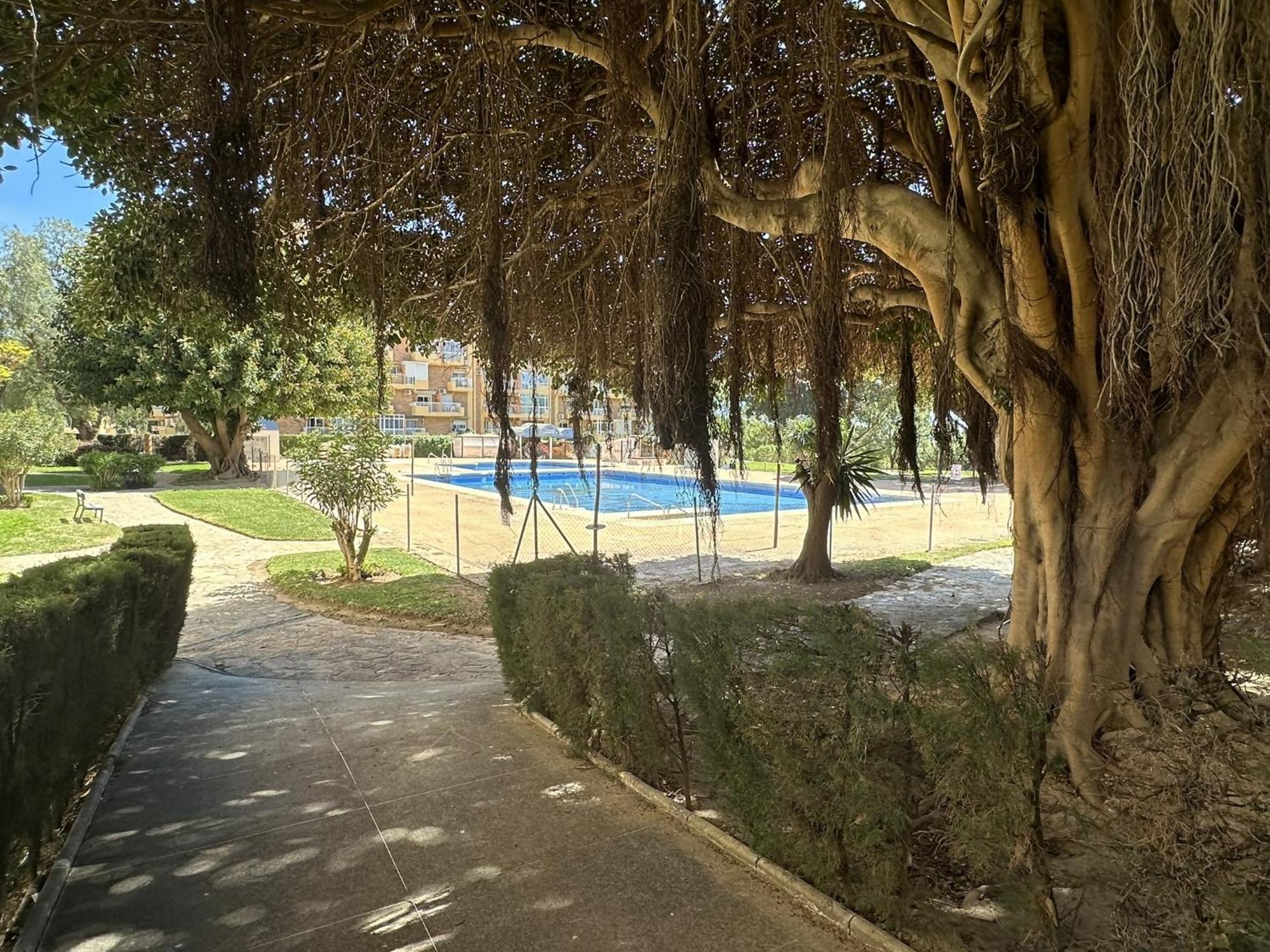 בנאלמדנה Estudio Agata Con Piscina A 800M De La Playa מראה חיצוני תמונה