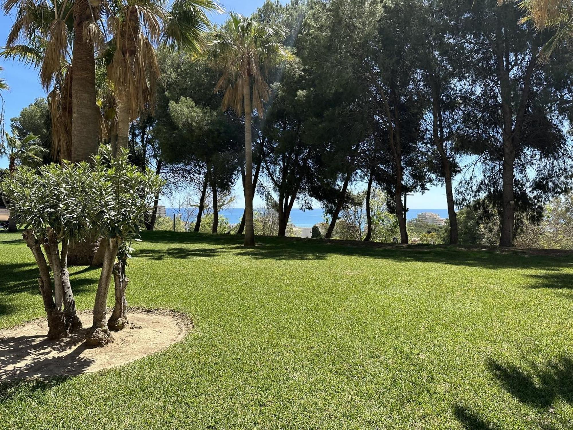 בנאלמדנה Estudio Agata Con Piscina A 800M De La Playa מראה חיצוני תמונה